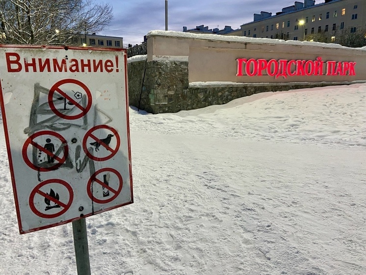 В Североморске прошел рейд по вопросам выгула собак