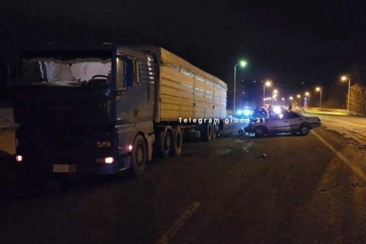 В Белгородской области водитель «Ауди» влетел в припаркованный грузовик и погиб