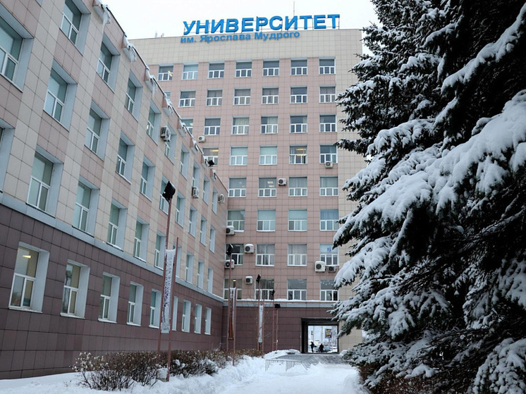 В Новгороде могут организовать бесплатные точки аренды велосипедов для студентов
