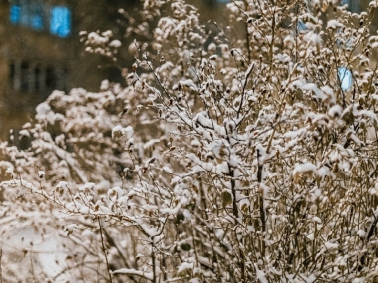 Снегопад, гололедицу и похолодание до -10 градусов прогнозируют астраханцам