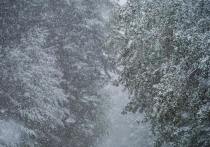 Сегодня, 8 декабря, в Республике Бурятия ожидается переменная облачность, местами небольшой снег, по Прибайкалью - до умеренного