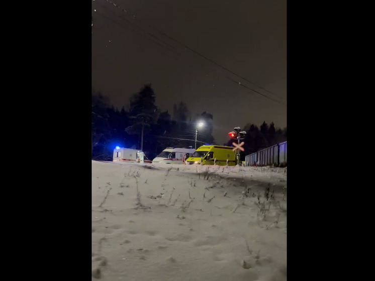 В Ярославле автомобиль с женщиной и детьми попал под товарняк