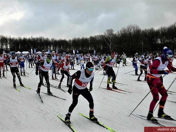 В парке «Дружба» во Владимире появится Центр лыжных гонок