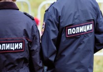 На юге Москвы неизвестные остановили автомобиль и, совершив несколько выстрелов, похитили сумку с деньгами у водителя, сообщает столичная прокуратура