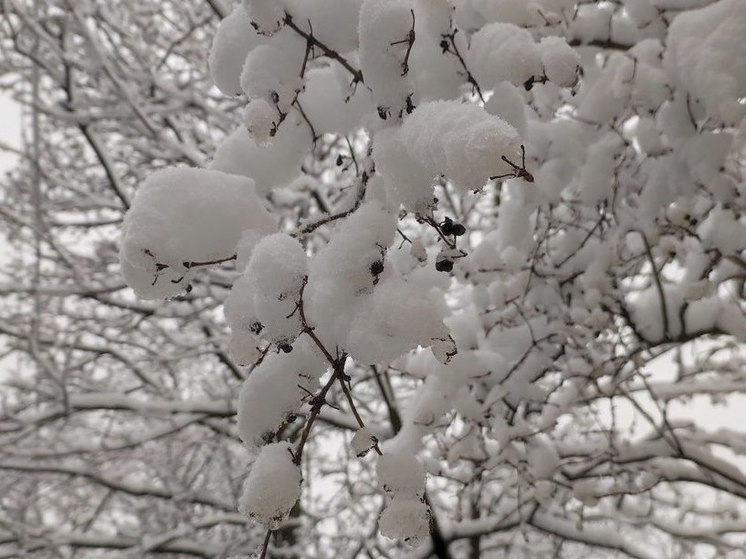До -18 градусов ожидается в Ленобласти 8 декабря