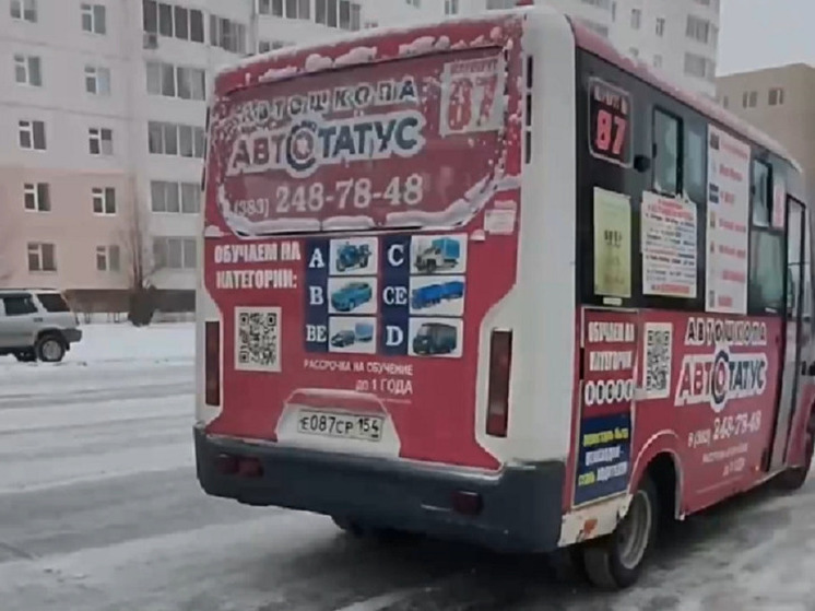 В Новосибирске житель уговаривал водителя маршрутки №87 довезти его до места