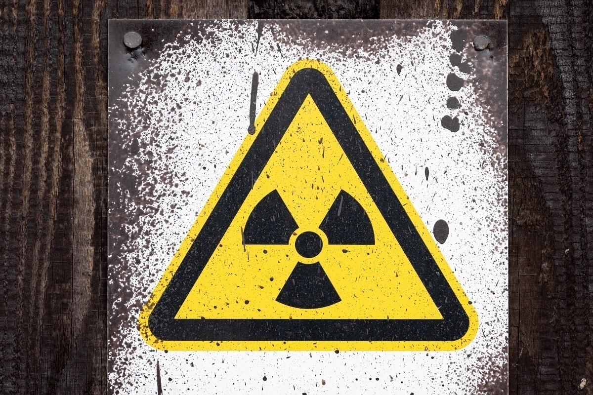 Фото: Global Look Press 