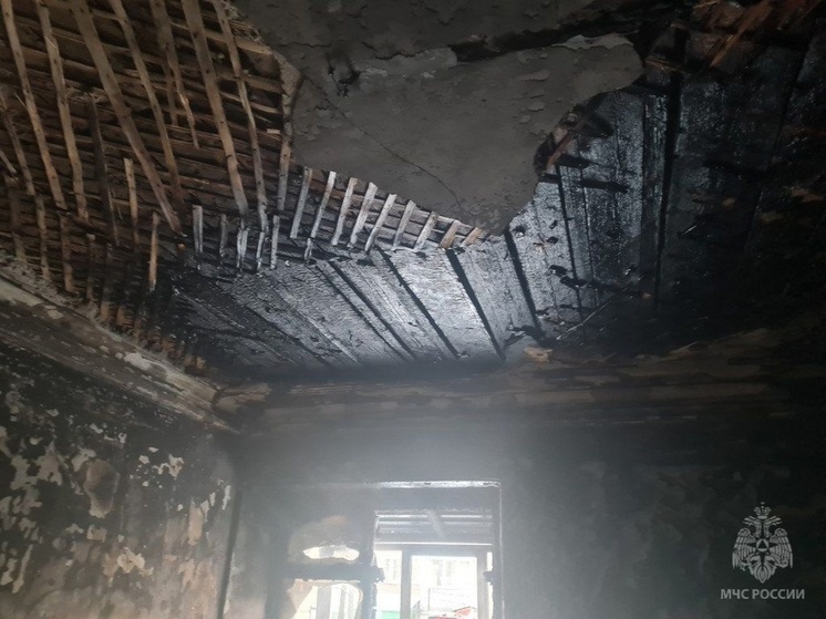 Двух человек спасли на пожаре в Вологде