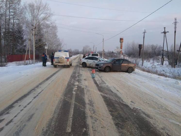 За сутки в Рязанской области два человека пострадали в ДТП