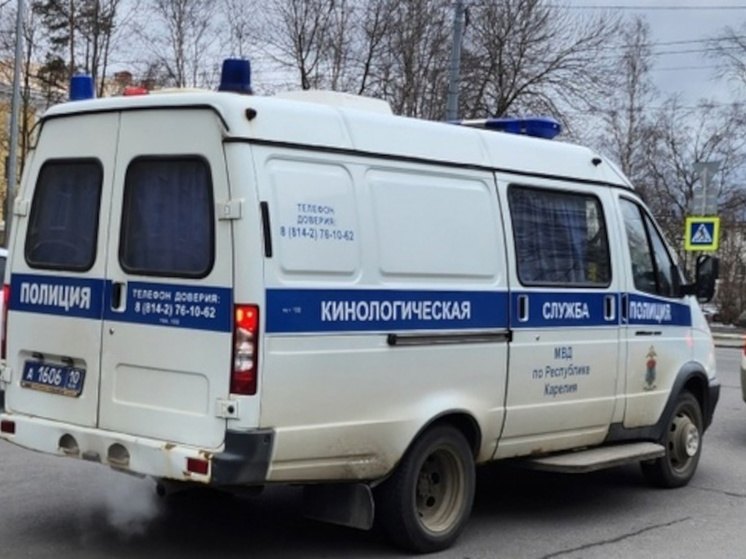 Сообщения о минировании массово поступили в школы Петрозаводска