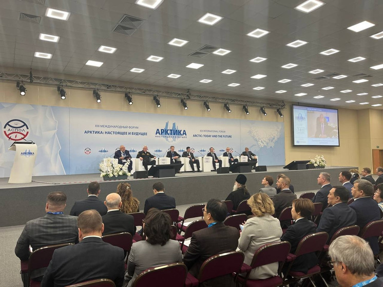 Губернатор Чибис: рабочее движение к порту Лавна запустят 15 декабря