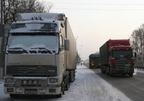 Более 3000 грузовиков скопилось в очередях на польско-украинской границе