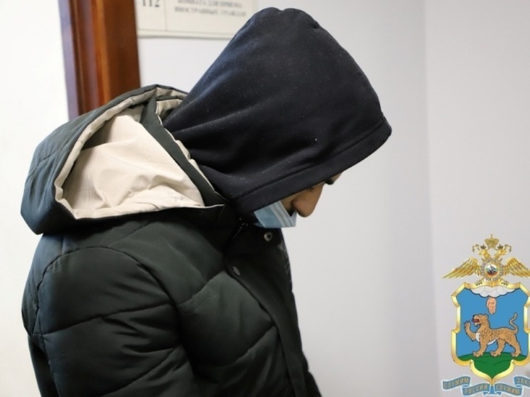 87 иностранцев наказали за незаконное нахождение в Псковской области за последний месяц
