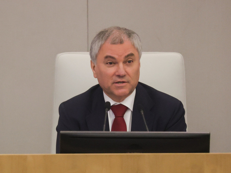 Володин раскритиковал возможность свободно закупать рекламу у иноагентов