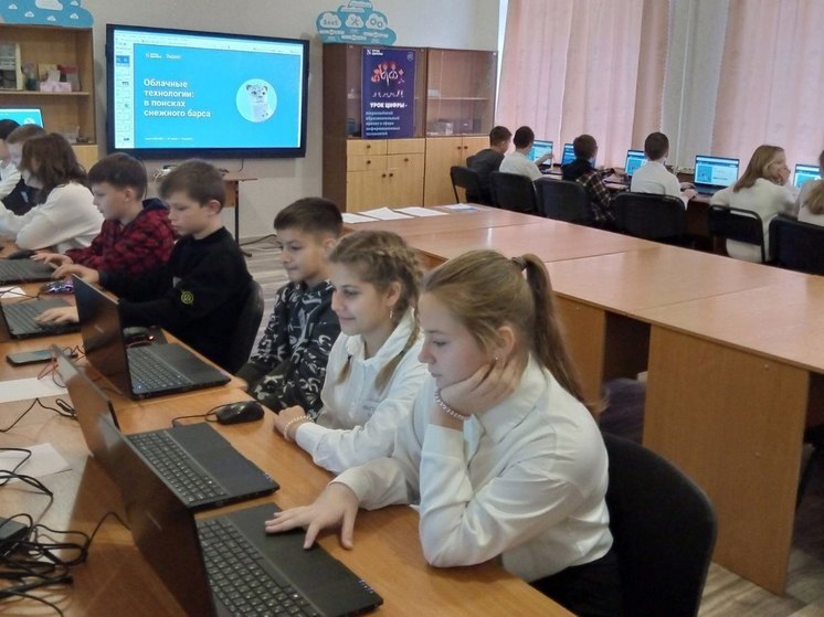 Для старшеклассников из Алешек провели профориентацию
