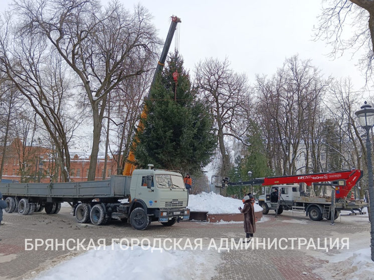 В Круглом сквере Брянска поставили главную городскую ёлку
