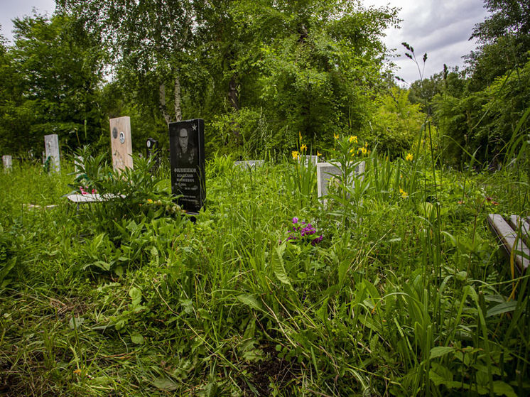 Власти Новосибирска расширят границы Заельцовского кладбища