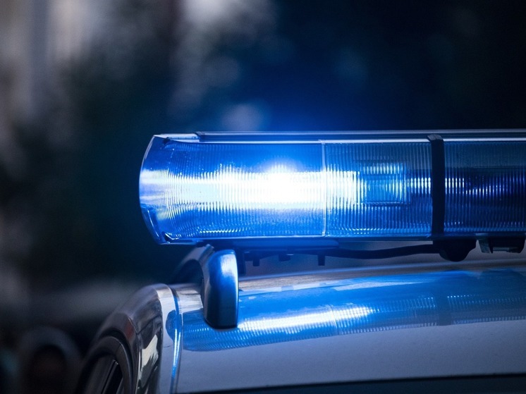 В Рославльском районе пешеход погиб под колесами фуры