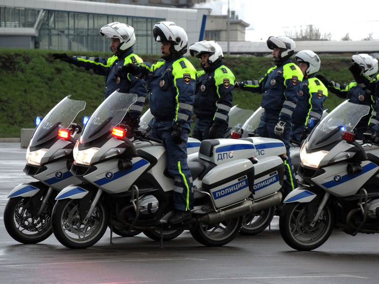 В российском городе полицейские устроили погоню за быком