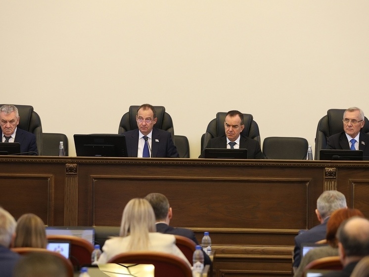 Депутаты ЗСК приняли поправки в краевое законодательство в отношении защиты прав детей-сирот