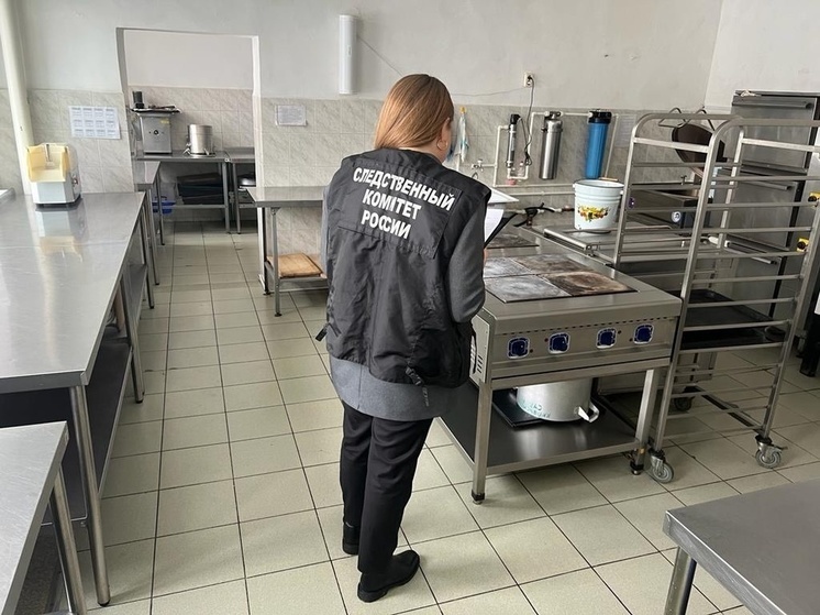 В Волгодонске возбудили уголовное дело по факту отравления школьников