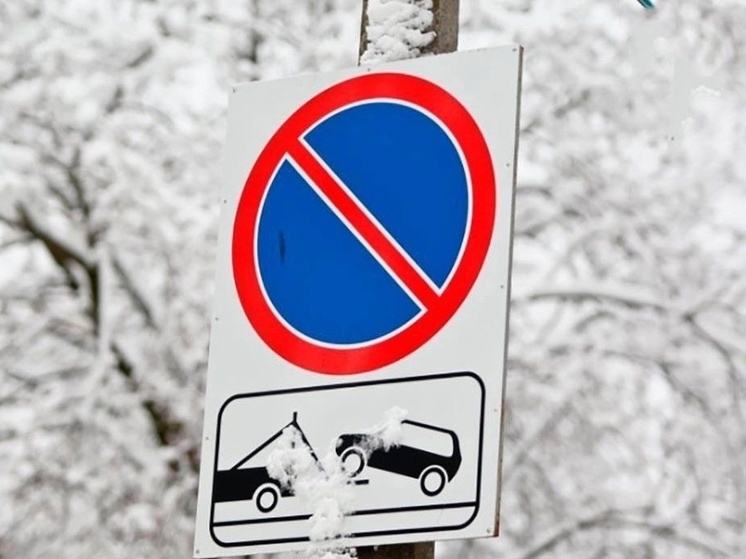 Предстоящей ночью в Смоленске опять будут возить снег