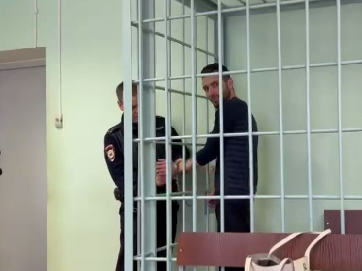 В Тверской области помещен под стражу мужчина, обманувший пенсионерку на 600 тысяч рублей