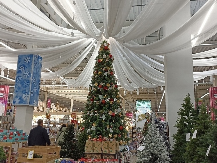 Более трех тысяч ребят из ЛНР принимают участие во всероссийской новогодней акции