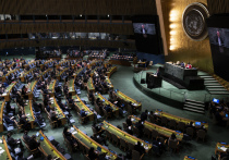 США заблокировали в Совете безопасности ООН предложенную ОАЭ резолюцию о прекращении огня в секторе Газа, сообщает РИА Новости