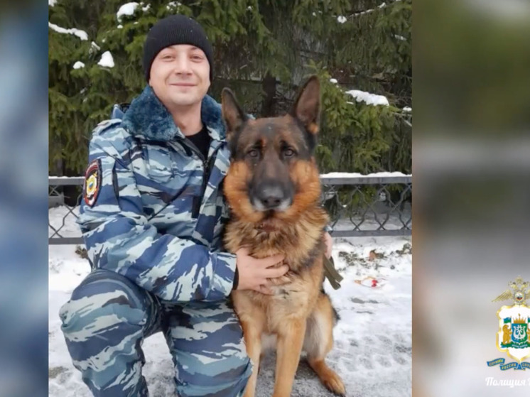 Полицейские Сургута проводили на пенсию двух служебных собак