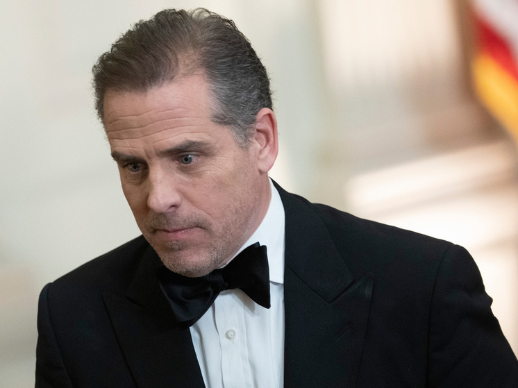 Названа сумма, потраченная Хантером Байденом на проституток и порно