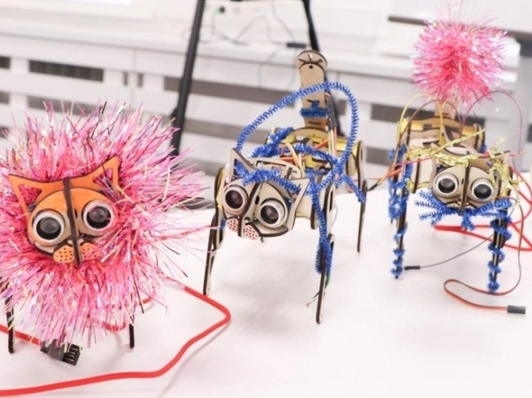 Студенты ОмГТУ сконструировали новогодних роботов-кошек