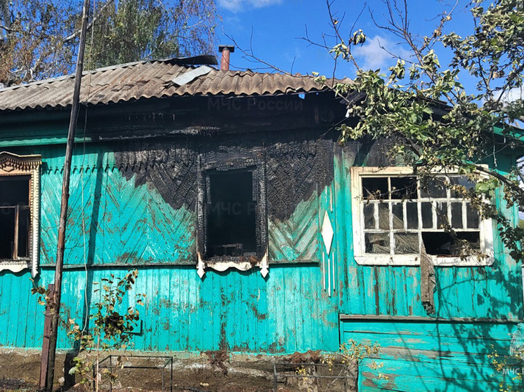С начала года в Рязанской области произошло 320 пожаров из-за электротехники