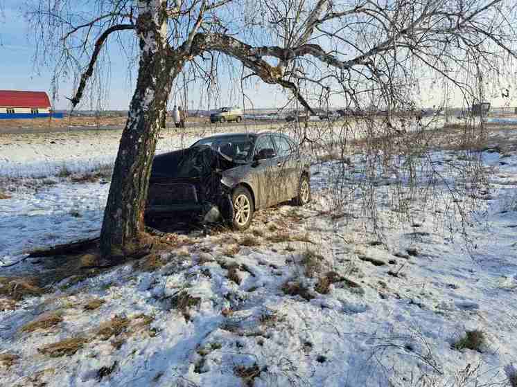 В Балашовском районе иномарка врезалась в дерево