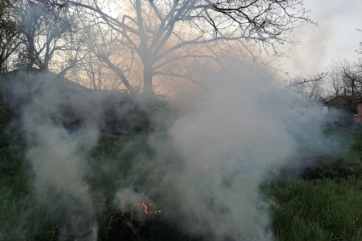 Восемь пожарных тушили горящий дом в деревне Нижницы