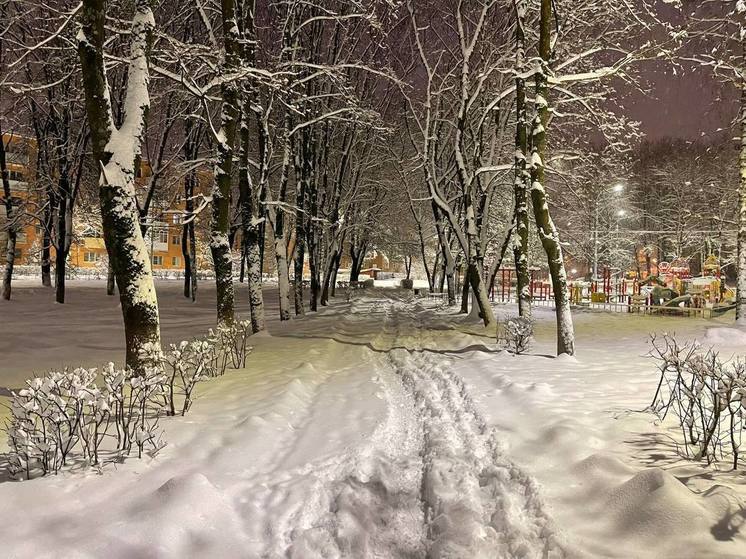 Жителей Подмосковья предупредили о грядущих аномальных морозах