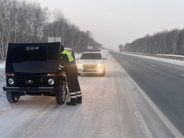 Уехать не получилось: по пути домой новый автомобиль заглох