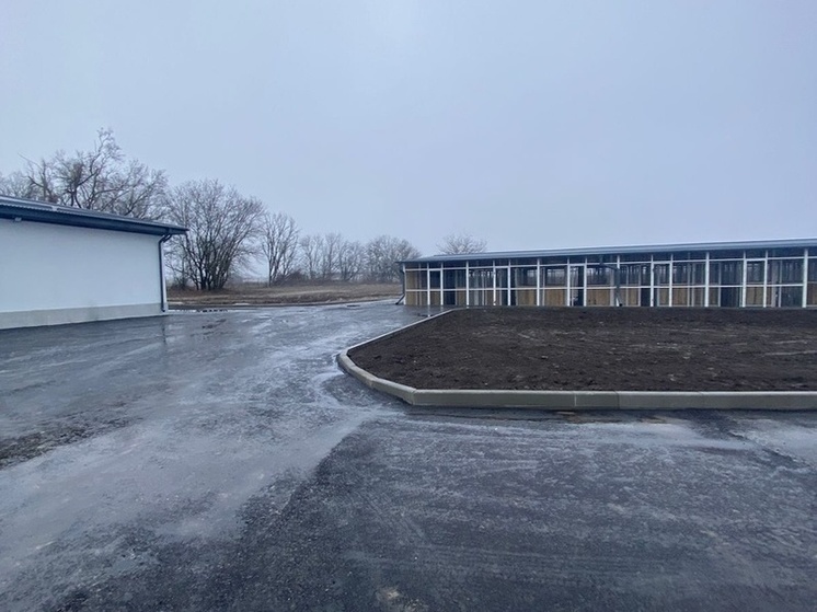 В Нальчике проверили работу приюта для бездомных собак