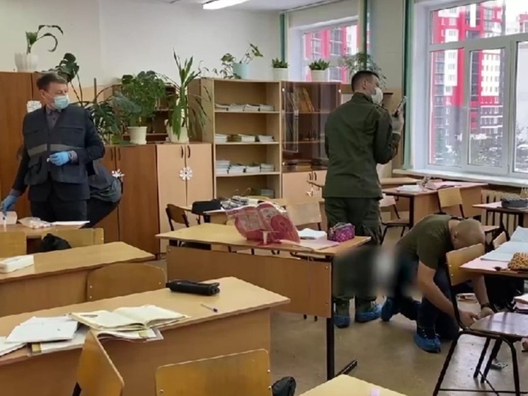 Семьи погибшей и пострадавших при стрельбе в брянской школе получат выплату