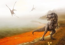 В Канаде ученые обнаружили окаменелого тираннозавра с двумя детенышами в желудке, сообщает издание Science Advances