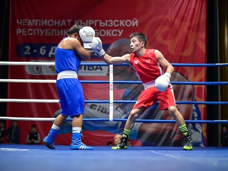 В Бишкеке прошел чемпионат Кыргызстана по боксу
