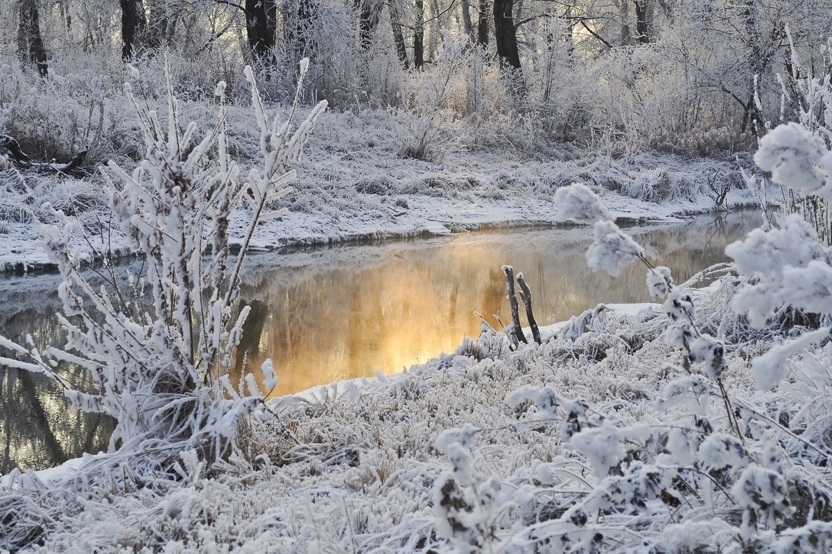 Синоптики 10 декабря предсказывают что в Смоленске снова будет идти снег
