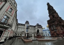 В 2015 году гражданин Армении, проживающий в Севастополе, создал ОПГ, целью которой было завладение и перепродажа недвижимости и земельных участков.