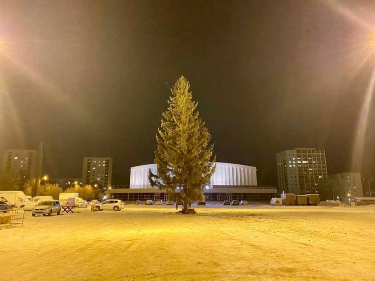 На улице Зорге в Уфе со второй попытки установили новогоднюю елку