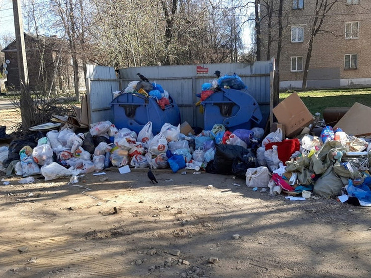Ярославцы заговорили о забастовке мусорщиков