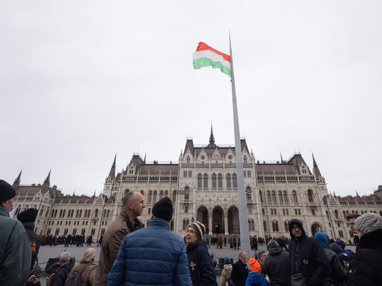 В МИД Венгрии заявили о недовольстве новым украинским законом о нацменьшинствах
