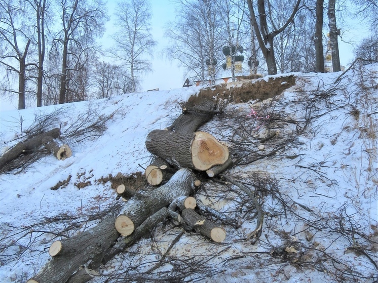 В Угличе создатели деревянной крепости спилили музейные липы
