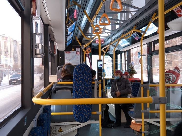 В Красноярске кондуктор выгнала детей из автобуса на холод