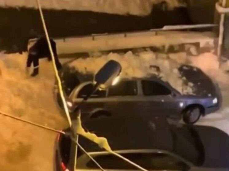 В одном из дворов Подмосковья заметили снежного мстителя