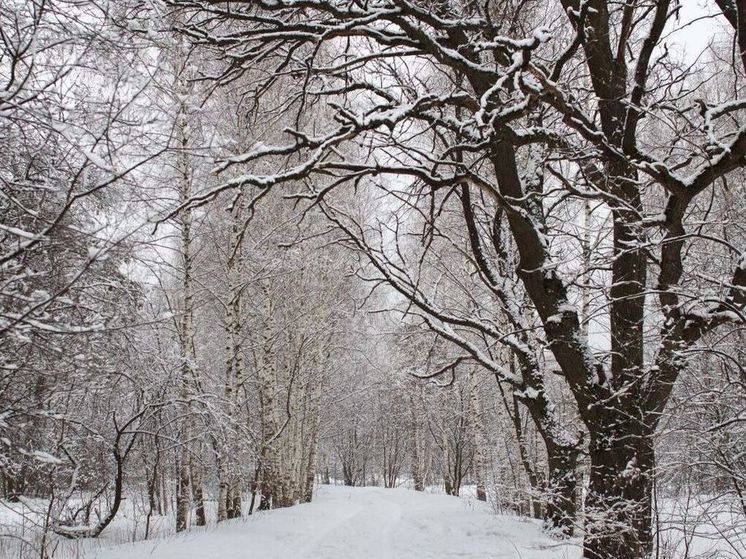 Новая неделя в Подмосковье начнется с относительного потепления